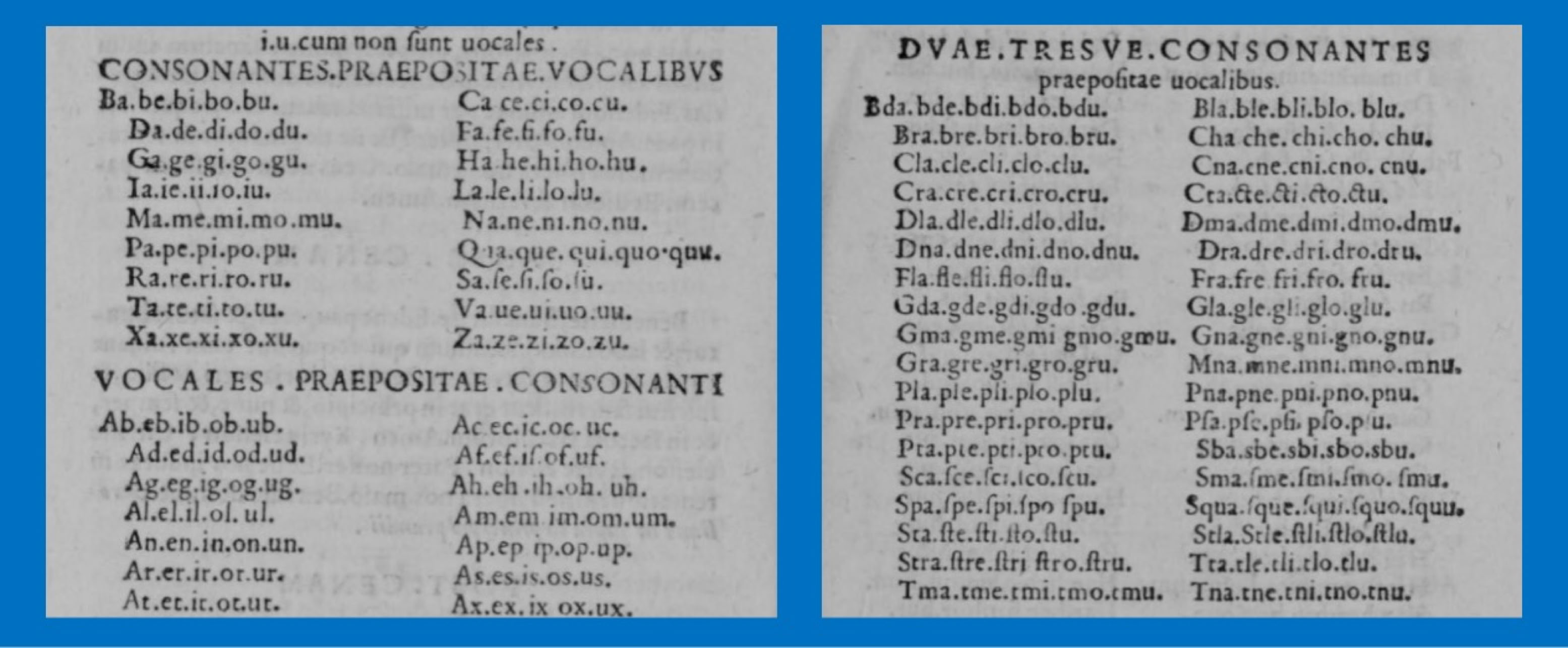 Excerpts from a Latin Syllabary from a 1575 Grammaticarum